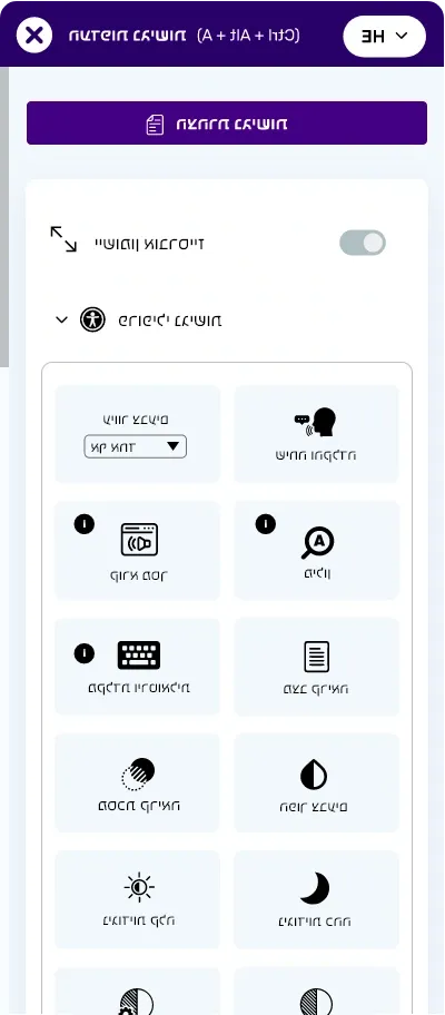 hebrew website accessibility widget